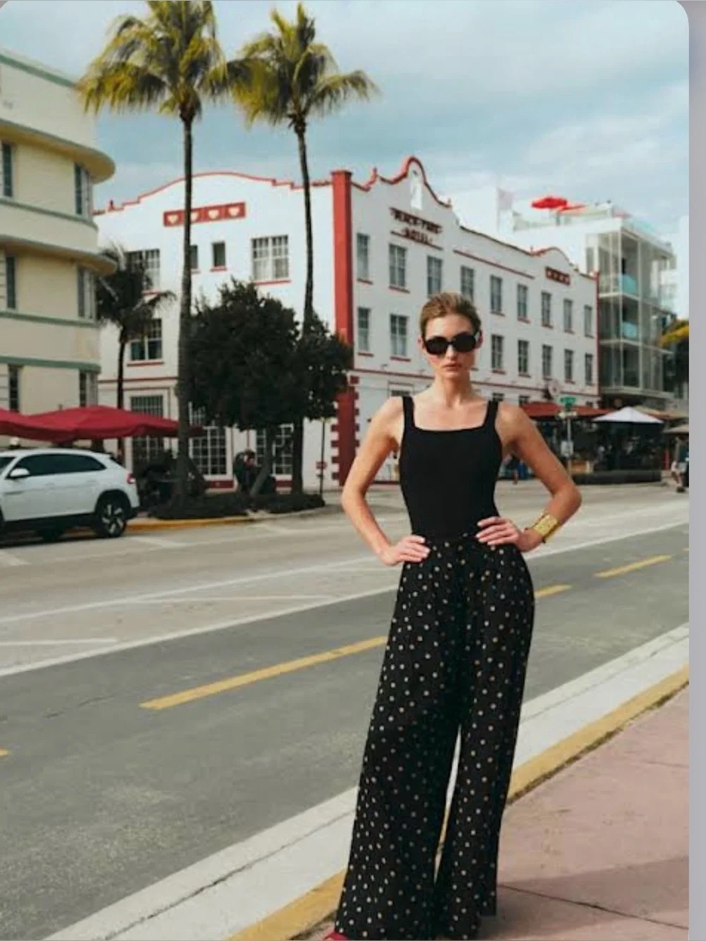NWT Sezane terrance pants new season